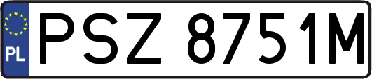 PSZ8751M