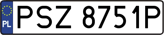 PSZ8751P