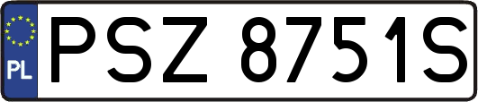 PSZ8751S