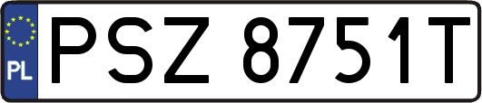 PSZ8751T