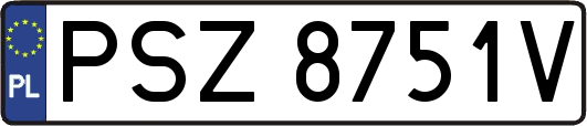 PSZ8751V