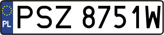 PSZ8751W
