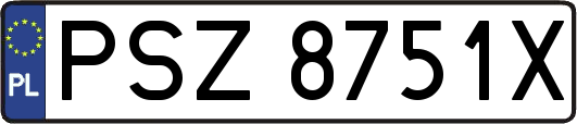 PSZ8751X