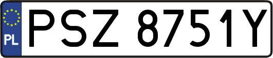 PSZ8751Y