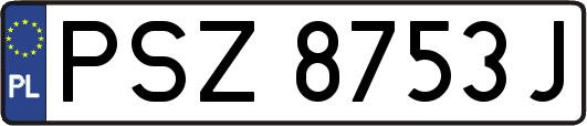 PSZ8753J