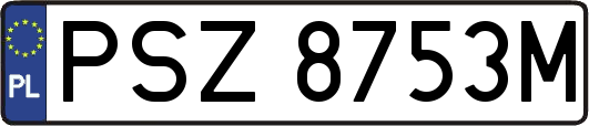 PSZ8753M