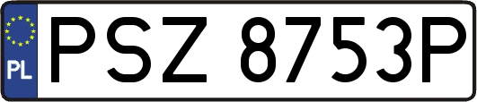 PSZ8753P