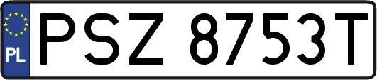 PSZ8753T