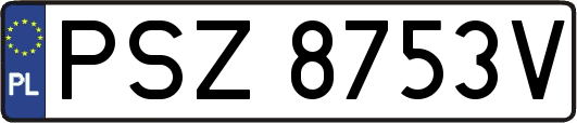PSZ8753V