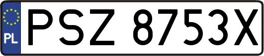 PSZ8753X