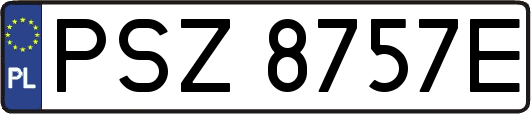 PSZ8757E