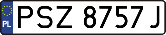 PSZ8757J