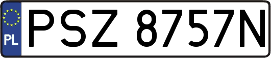 PSZ8757N