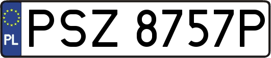 PSZ8757P