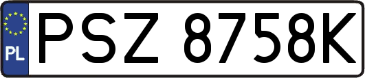 PSZ8758K