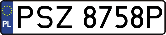 PSZ8758P