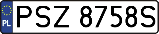PSZ8758S