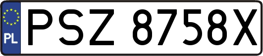 PSZ8758X