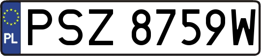 PSZ8759W