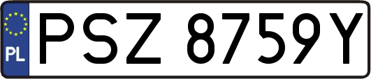 PSZ8759Y