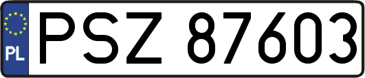 PSZ87603