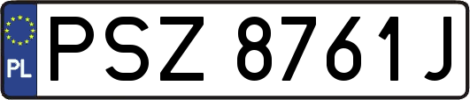 PSZ8761J