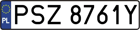 PSZ8761Y