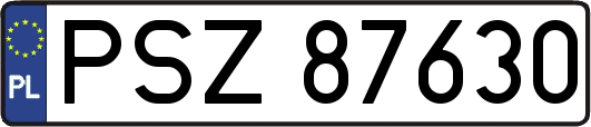 PSZ87630