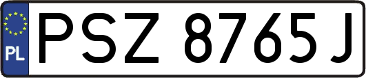 PSZ8765J