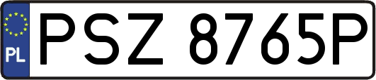PSZ8765P