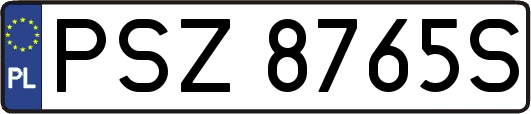 PSZ8765S