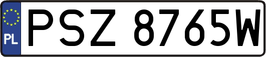 PSZ8765W