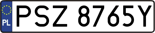 PSZ8765Y