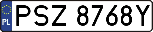 PSZ8768Y