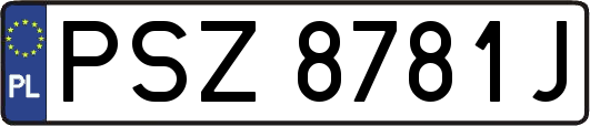 PSZ8781J