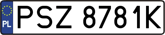 PSZ8781K