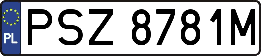 PSZ8781M