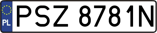 PSZ8781N