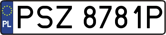 PSZ8781P