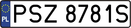 PSZ8781S