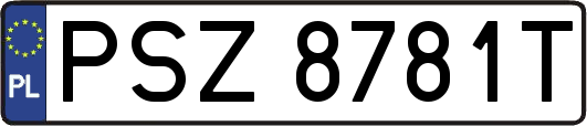 PSZ8781T