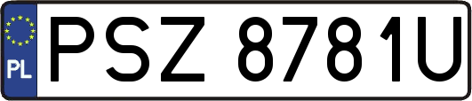 PSZ8781U