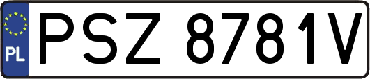 PSZ8781V