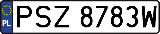 PSZ8783W