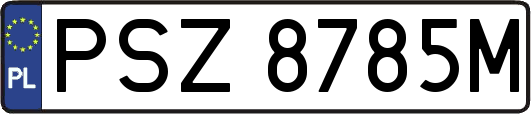 PSZ8785M