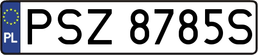 PSZ8785S