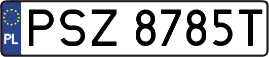 PSZ8785T