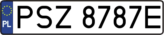 PSZ8787E