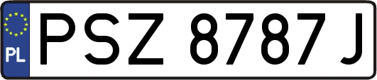 PSZ8787J