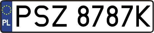 PSZ8787K